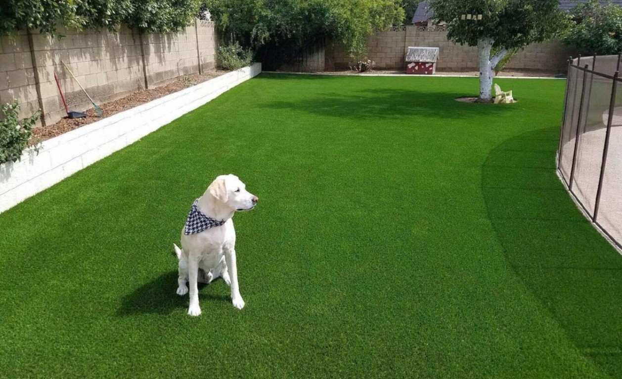 Pet-friendly artificial grass with advanced drainage for dogs in Montgomery, AL